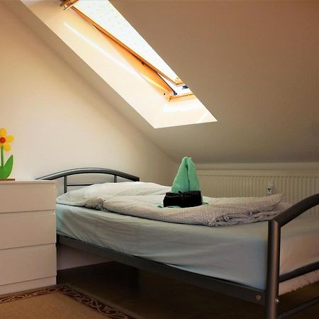 Zentral Gelegene Wohnung Nahe Schwanenteich Zwickau Exterior foto