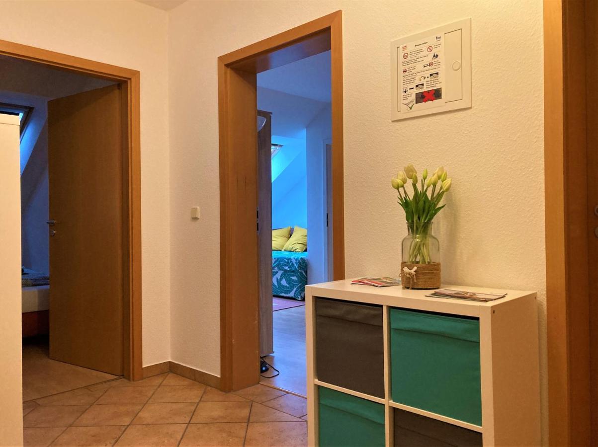 Zentral Gelegene Wohnung Nahe Schwanenteich Zwickau Exterior foto